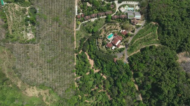 sunny day phuket island modern hotel exterior traffic road aerial topdown panorama 4k thailand 