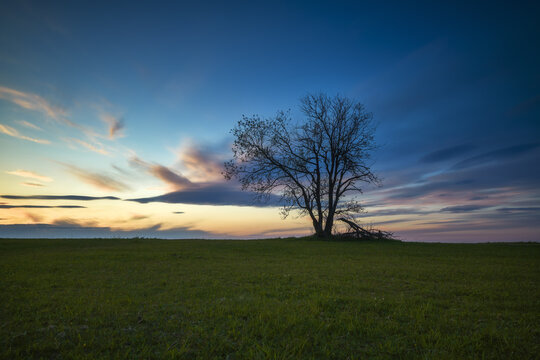 View of a lone tree standing on a green grassy hill under a dramatic sunset sky with colorful clouds Czorsztyn, Lesser Poland Voivode, Poland.