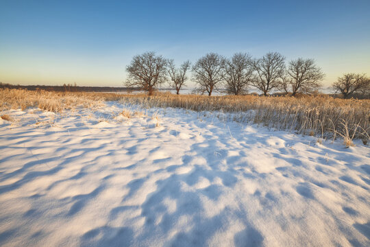 View of a snow-covered field with dry grass and bare trees under a clear blue sky during golden hour in Gorzyce, Silesian Voivodeship, Poland.