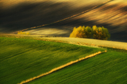 View of rolling hills and agricultural fields of Ponidzie Park with golden hour light and soft shadows on green slopes Busko-Zdroj, Swietokrzyskie, Poland.