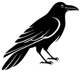 Obraz premium Stylized Black Silhouette of a Raven Perched with Detailed Feathering