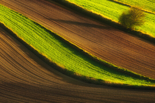 View of rolling agricultural fields with alternating green and brown strips under warm sunlight in Ponidzie Park in Busko-Zdroj, Swietokrzyskie, Poland.