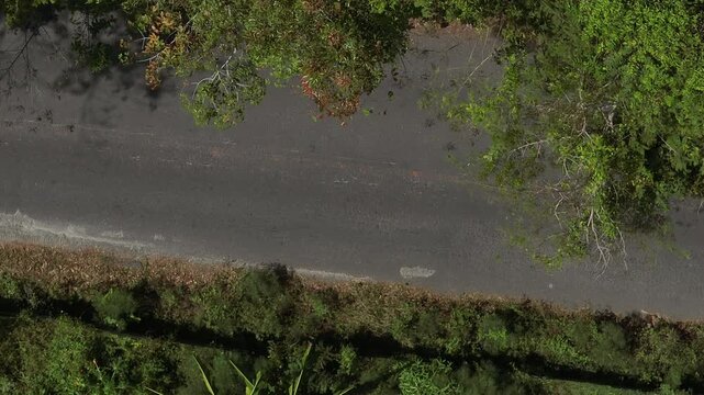 sunny day phuket island traffic mountain road aerial topdown panorama 4k thailand 