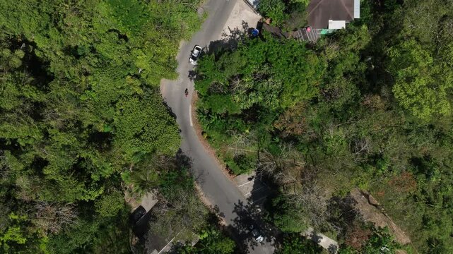 sunny day phuket island traffic mountain road aerial topdown panorama 4k thailand 
