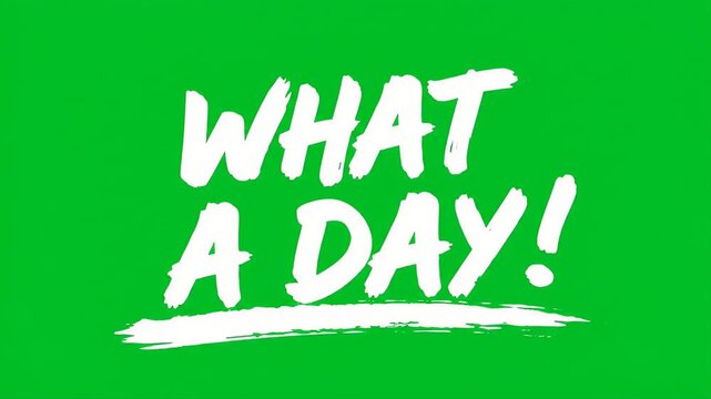 What a day text with a white brush stroke underline on the green screen backgrounds.