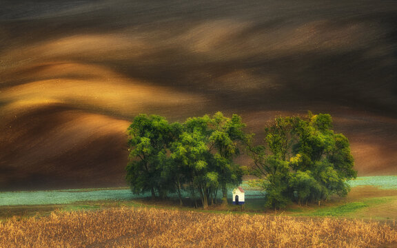 View of a white chapel among green trees in the rolling agricultural hills of Moravia with golden light hitting the dark soil Brno-City District, South Moravian Region, Czechia.