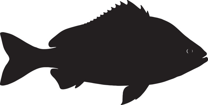 Detailed black silhouette of a fish showing fins and scales profile isolated on white background with underwater wildlife silhouette swimming creature environment restaurant