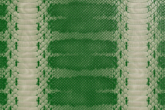 Green Python Snakeskin Texture Background, Exotic Reptile Leather Pattern