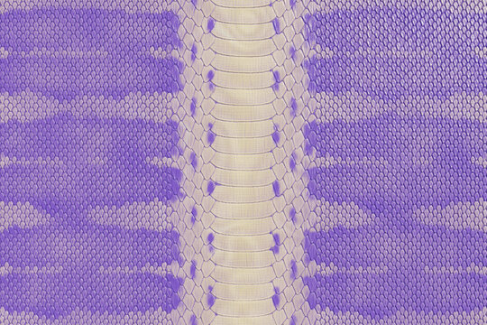Light Purple Python Snakeskin Texture Background, Violet Exotic Reptile Leather Pattern