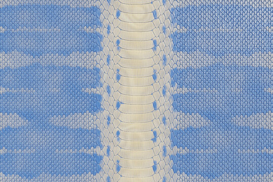 Light Blue Python Snakeskin Texture Background, Exotic Reptile Leather Pattern