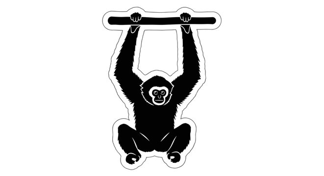 Monkey Hanging From Bar 1.