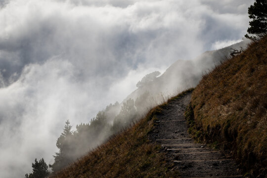 View of the Stoos mountain trail with wooden steps on a grassy slope surrounded by dense clouds and pine trees in Morschach, Schwyz, Switzerland.
