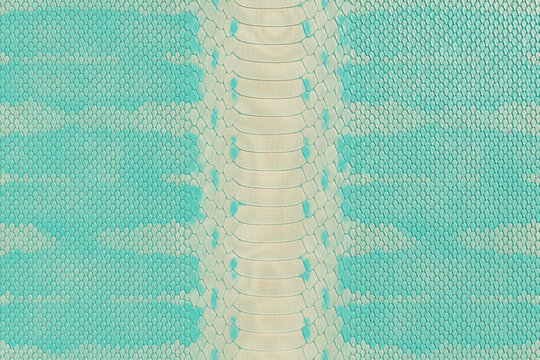 Turquoise Python Snakeskin Texture Background, Mint Green Exotic Reptile Leather Pattern