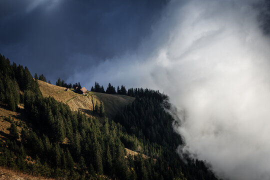 View of a traditional wooden hut on a grassy mountain slope near Stoos, surrounded by dense pine forests and dramatic rolling clouds Morschach, Schwyz, Switzerland.