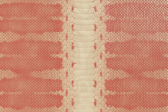 Coral Pink Python Snakeskin Texture Background, Peach Exotic Reptile Leather Pattern