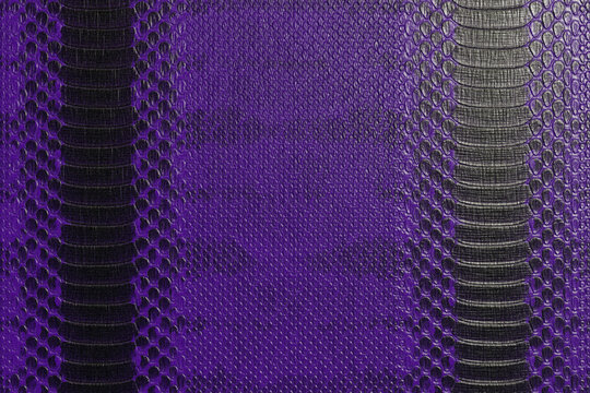 Dark Purple and Black Python Snakeskin Texture Background, Exotic Reptile Leather Pattern