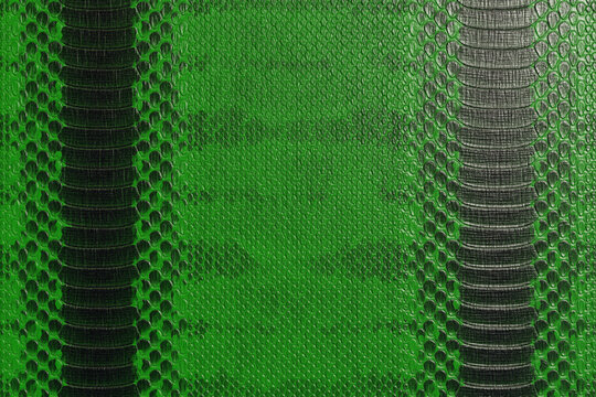 Dark Green and Black Python Snakeskin Texture Background, Exotic Reptile Leather Pattern