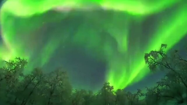 A natural dance of bright green and purple light moving dynamically across the star-studded night sky.