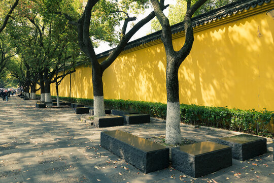 Sidewalks with trees and yellow walls