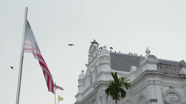 day time penang island george town city hall top front full of birds national flag slow motion panorama 4k malaysia