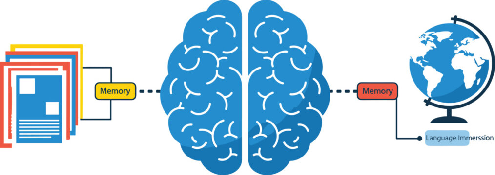 Global knowledge processing infographic template featuring blue human brain stacked document files and world map desk globe icons for corporate training presentations