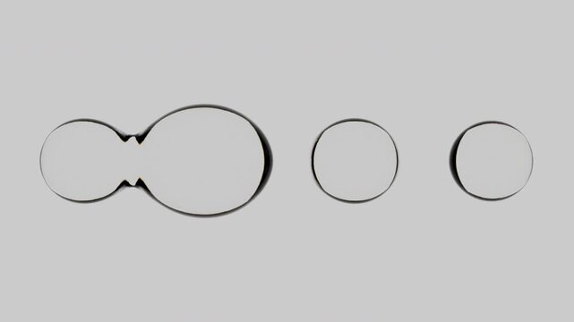 Clear Metaball Liquid Spheres Seamless Loop - Transparent Blobs Merging on White Background
