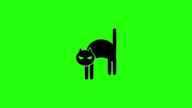 Premium 4K motion graphic of a spooky black cat arching its back silhouette bouncing. Clean stationary asset for scary autumn holiday party web.
