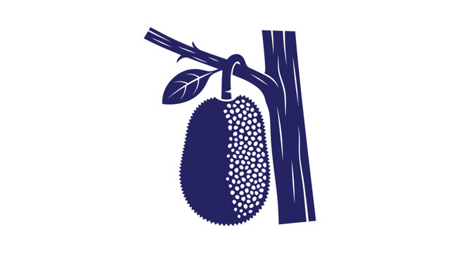 Stylized blue ink graphic of a jackfruit hanging from a tree branch with jackfruit tropical botanical illustration ingredient monochrome refreshing agriculture tropicalfruit nutrition