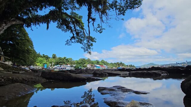 Scenic view of a coastal, showing a calm tide pool reflecting the vibrant blue sky and white clouds framed by a large overhanging tree branch