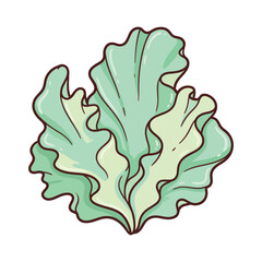 Obraz premium Vibrant green lettuce illustration with fresh leaves and healthy food concept