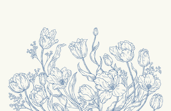 Vintage Hand Drawn Tulip Flower Border, Elegant Botanical Line Art Floral Background Illustration for Wedding Invitation and Packaging Design