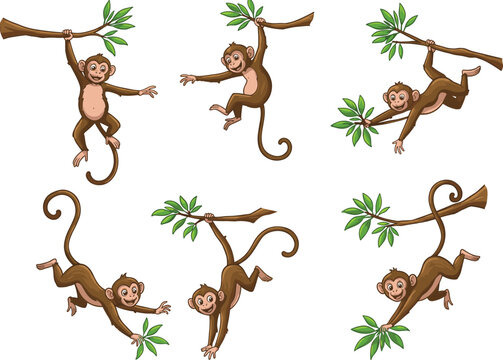 Cute monkey illustration set, playful jungle animal swinging on tree branches, cartoon vector design, wildlife artwork for kids projects