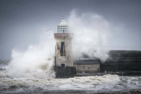 View of Balbriggan Lighthouse as massive waves crash against the stone pier under a stormy sky with a seagull Balbriggan, County Dublin, Ireland.