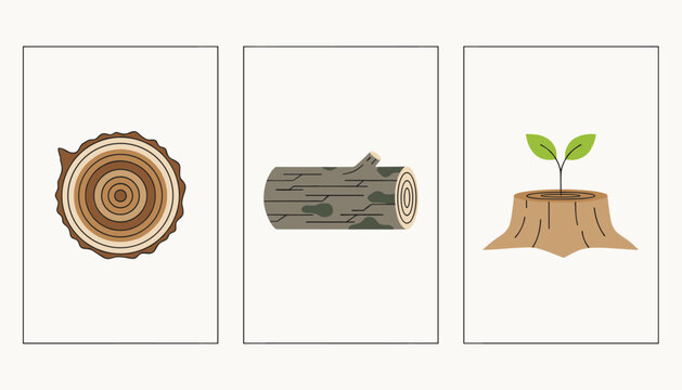 Conceptual three-panel illustration showing a tree ring section, a fallen log, and a small sprout growing from a stump.