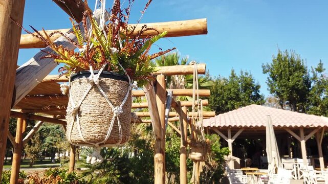 Hanging macrame planter with colorful foliage outdoors under bright sunlight.