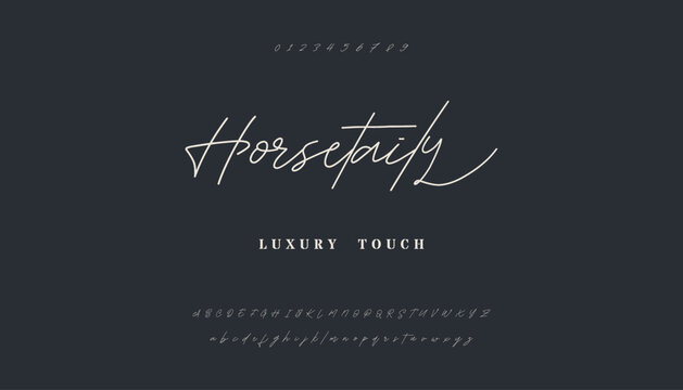 signature Font Calligraphy Logotype Script Brush Font Type Font lettering handwritten. Elegant Signature Font. Best Alphabet Beautiful Calligraphy Signature Font