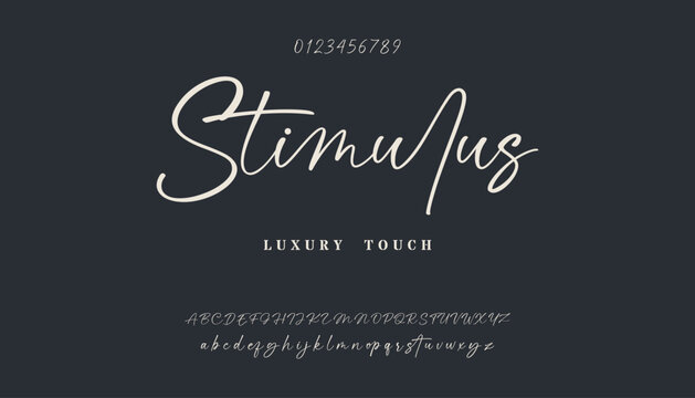 signature Font Calligraphy Logotype Script Brush Font Type Font lettering handwritten. Elegant Signature Font. Best Alphabet Beautiful Calligraphy Signature Font