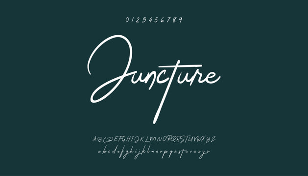 signature Font Calligraphy Logotype Script Brush Font Type Font lettering handwritten. Elegant Signature Font. Best Alphabet Beautiful Calligraphy Signature Font
