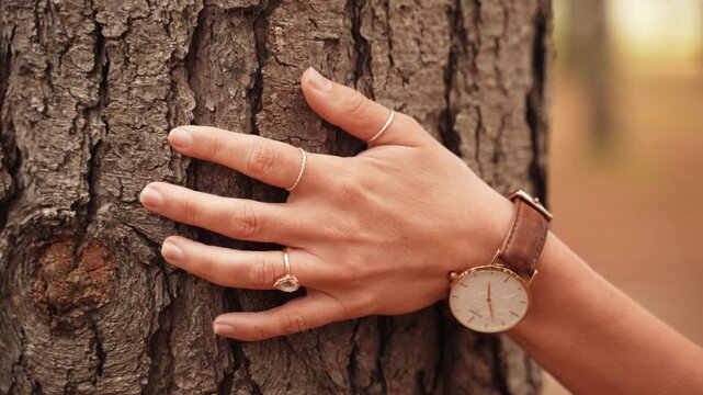 A hand with rings and a wristwatch gently touches textured tree bark.
