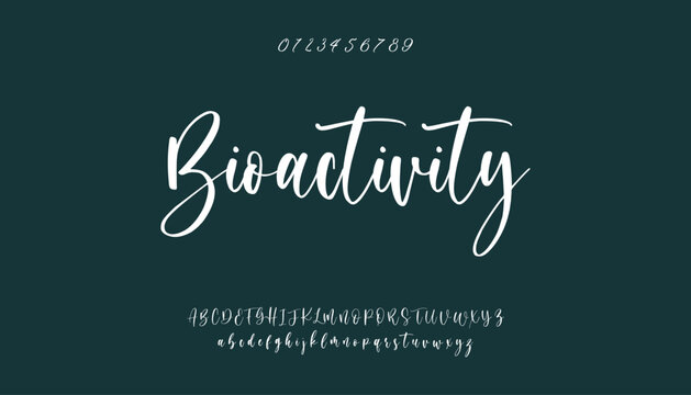 signature Font Calligraphy Logotype Script Brush Font Type Font lettering handwritten. Lettering signature font isolated on black background. brush style alphabet. Vector logo letters.