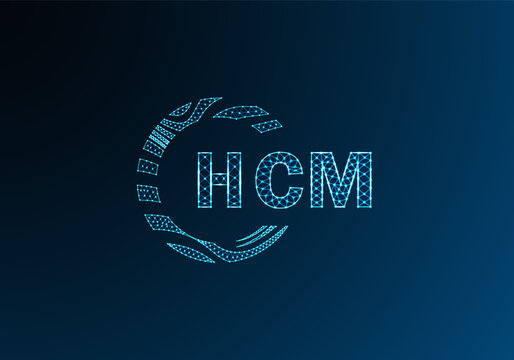 HCM low poly letter logo vector design. HCM lower poly logo design. HCM unique low poly logo design.