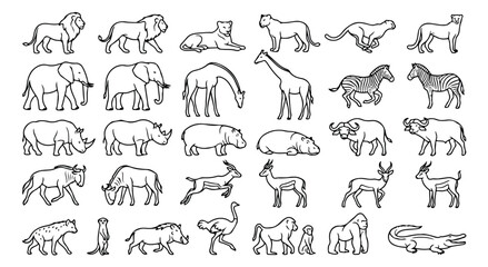 African safari animals line art icons, set of 30 wild animal vector illustrations, minimalist savanna wildlife silhouettes for education and design © usman