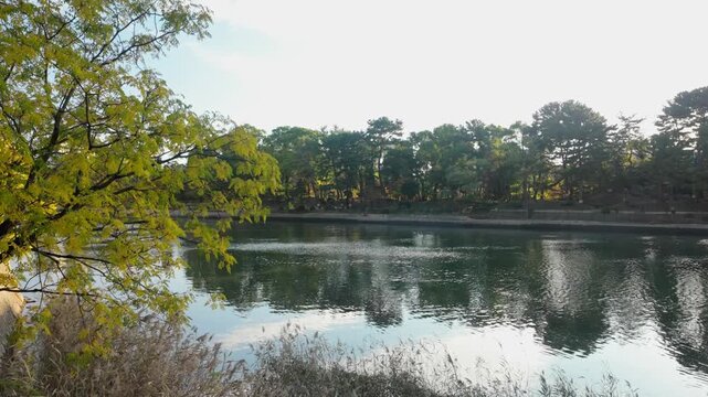 Picturesque nature landscape near the Ōta River in Hiroshima, Japan, showing a tranquil river reflecting the lush green trees and clear sky of a peaceful afternoon in a serene environment