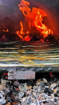 Rows of eels cook over a vibrant open flame, with glowing coals beneath. Ideal for culinary presentations or food documentaries focusing on traditional grilling techniques.