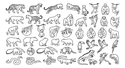Fototapeta premium Jungle animal line art icons, wild tropical wildlife vector set, exotic safari creatures collection, black and white zoo animal illustrations