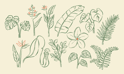 Hand-drawn tropical botanical line art illustration set featuring monstera, bird of paradise, banana leaf, frangipani, fern, pitcher plant, and more on cream background © Invasistudio