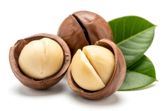Fresh macadamia nuts with shells and green leaves on white background, macadamia