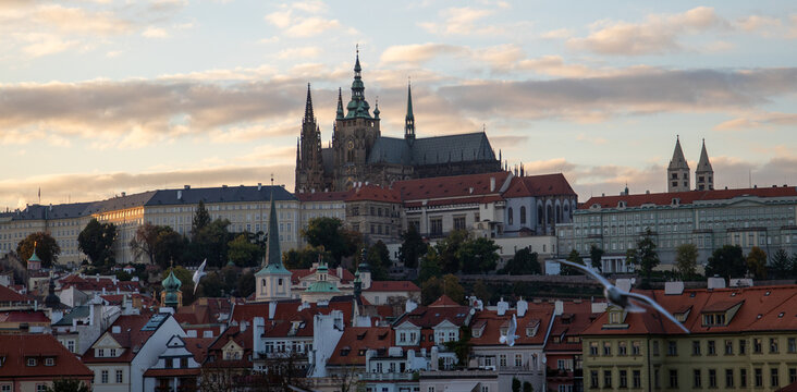 View of St. Vitus Cathedral and the Prague Castle complex overlooking the red rooftops of the city under a soft sunset sky with flying birds in Prague, Prague, Czechia.