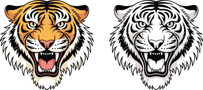 Tiger head vector illustration, fierce wild animal face in color and monochrome for mascot logo design