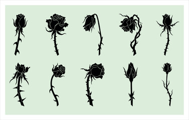 Fototapeta premium Wilted Rose and Drooping Floral Stem Bundle - Aesthetic Moody Botanical Design